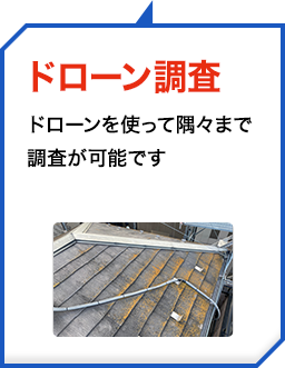 ドローン調査