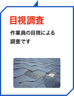 目視調査