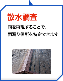 散水調査
