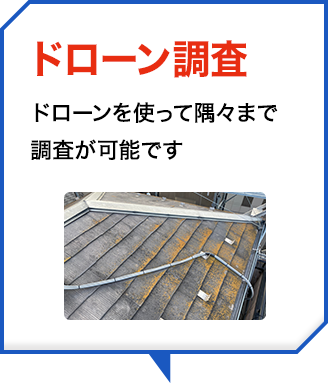 ドローン調査