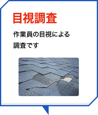 目視調査