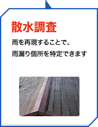 散水調査